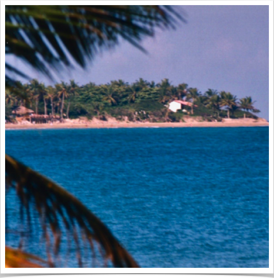 Increased development of the city of Cabarete has resulted in increased urban and sediment runoffs into Cabarete Bay,